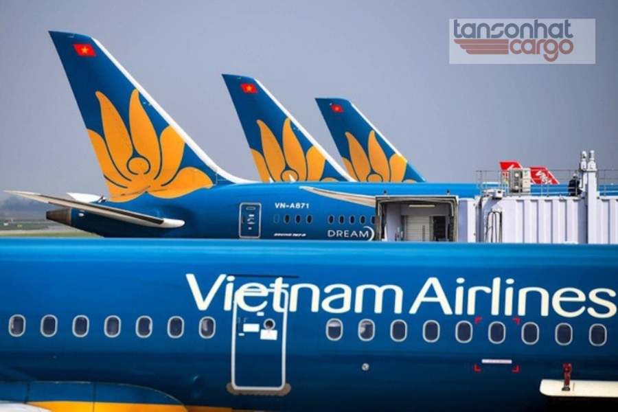 Hãng hàng không Vietnam Airlines