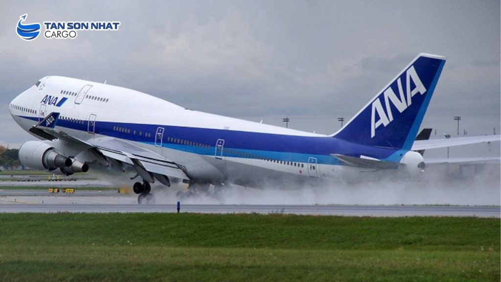 Plane makes emergency landing after passenger tries to open door in mid-air