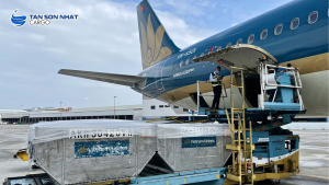 Hàng Không Việt: Xuất Khẩu Cargo Tới Mỹ Tăng 62% Đầu 2025
