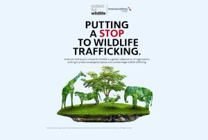 American Airlines Cargo thắt chặt kiểm soát buôn lậu động vật