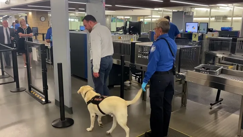 American Airlines Cargo thắt chặt kiểm soát buôn lậu động vật American Airlines Cargo thắt chặt kiểm soát buôn lậu động vật