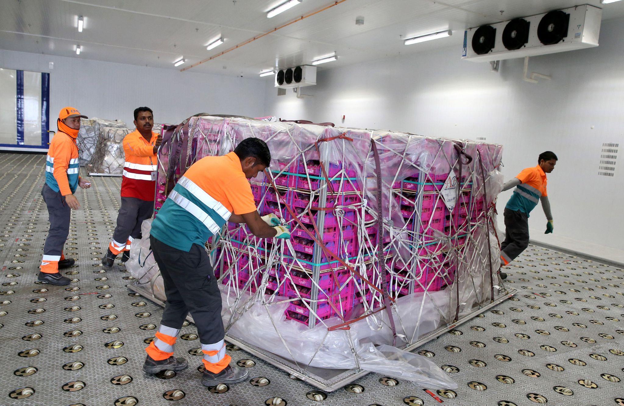 Qatar Airways Cargo đầu tư thêm năng lực kho lạnh để phục vụ vận chuyển dược phẩm quốc tế