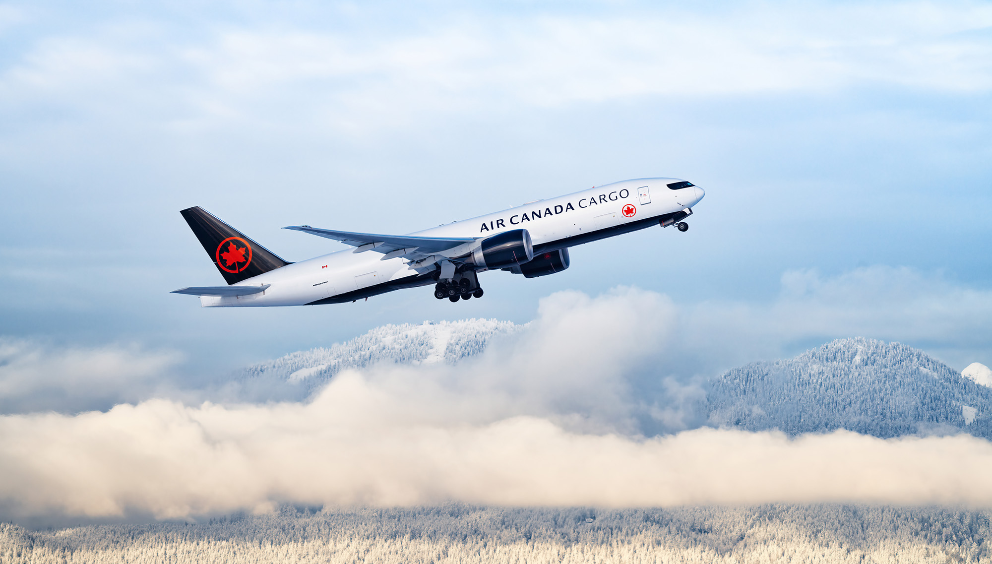 Air Canada Cargo chào đón việc nối lại đường bay Tel Aviv sớm hơn kế hoạch Air Canada Cargo chào đón việc nối lại đường bay Tel Aviv sớm hơn kế hoạch